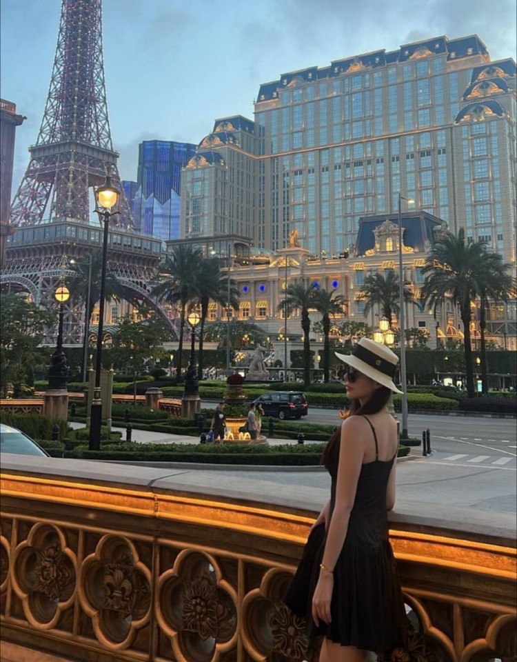 成全高清大全,最新好看的影视大全